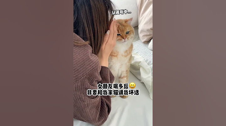 猫：喝醉的女人这么可怕的嘛？！！