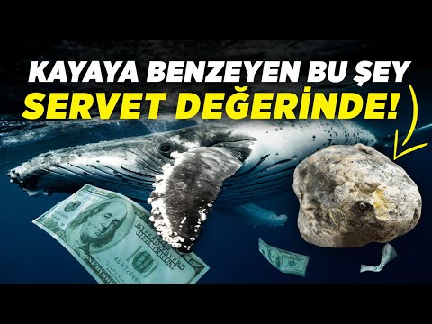 Video: Evde hindi nasıl yetiştirilir: yeni başlayanlar için ayrıntılı bilgi