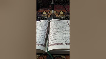 فاطر(٥-١٣) القارئ عصام العبيدي
