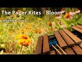 The Paper Kites - Bloom (marimba cover)