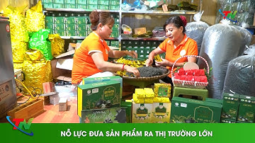 Nỗ lực đưa sản phẩm ra thị trường lớn