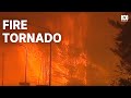 Fire tornado: how bushfires create their own weather