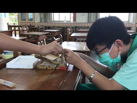 第十屆作品 : 魷魚遊戲—鹹魚大進擊!!!