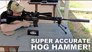 Super Accurate Hog Hammer!  Wilson Combat 300 HAM'R screenshot 4