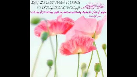 القران الكريم ١٥ ثانيه.