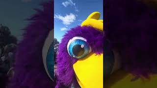 HAPPY WA DAY!! | WA Mascots Cuddles 🤗⚫️🟡🦢