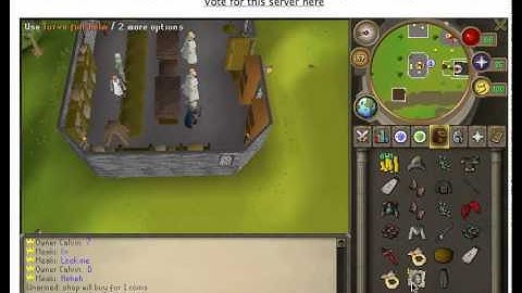 Brand new Hamachi RSPS need staff!!!!!!!!