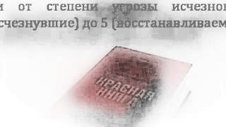 Презентация на тему Красная книга России Презентация на тему Красная книга России