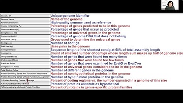 Viewing the genome report generated by the annotation service