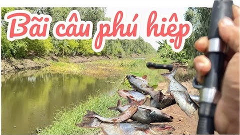 Bữa nay em Tuấn đi chiến ở Phú hiệp bữa nay chiến cá thác lác và cá tra còn có cá rô đồng nữa