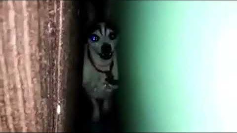 “Hola Juan Carlos, ¿cómo estás”: el video que es viral