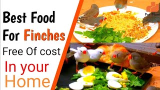 Finch Breeding Food /Finch Breeding formula / Finch best food.