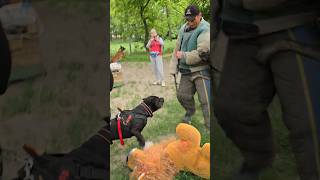 Suddenly!  Dog trainer in danger!  #GUARDODESSA The dog broke the leash. СТРАЖ Odessa. Ukraine