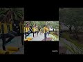ALH Yoga Activities 2025