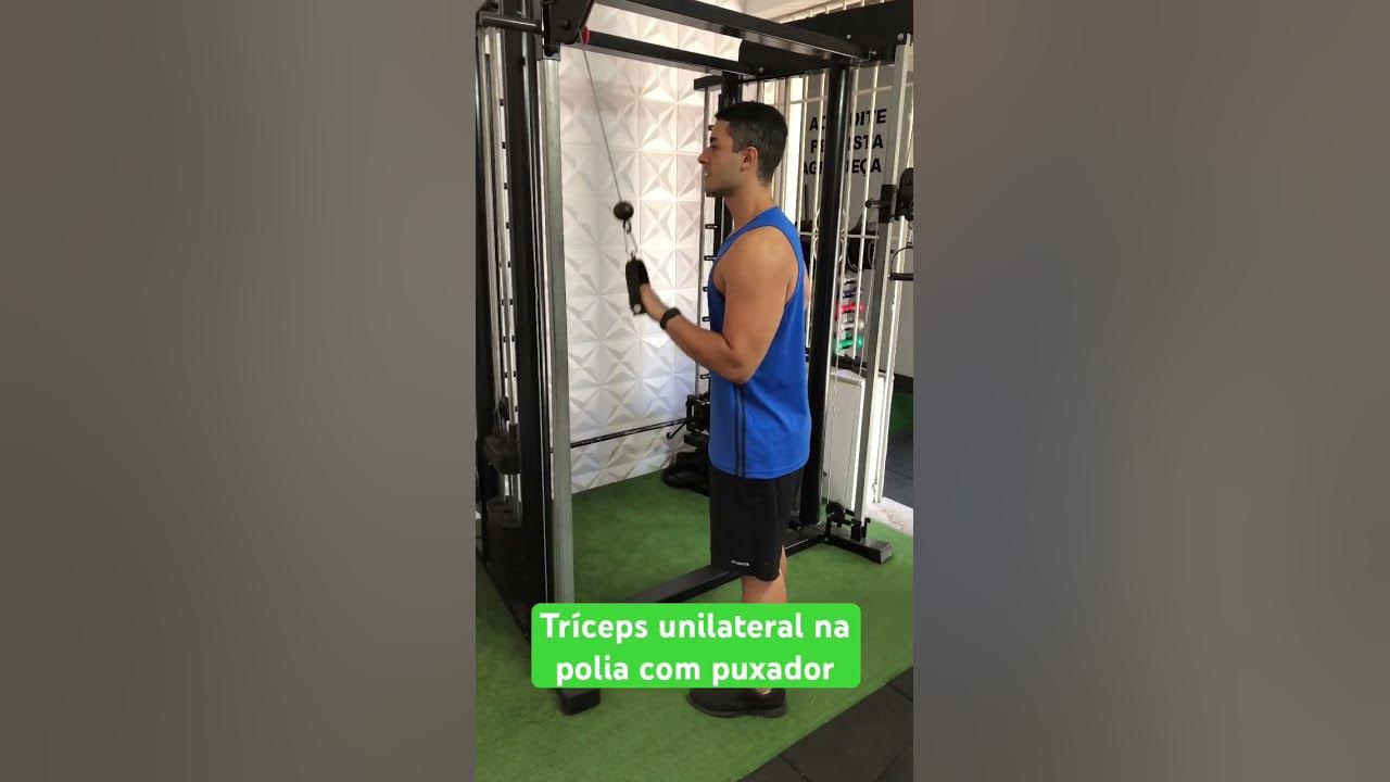 Puxador Sumô Unilateral Bíceps Costas Tríceps Reto Academia - REI