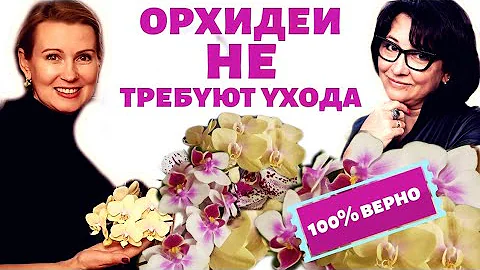 Орхидеи НЕ требуют ухода. Проверено! Удивляйтесь вместе со мной!