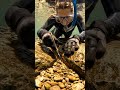 looking for gold underwater