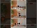 Abs &amp; Booty Pilates Workout❤️save &amp; share with your friends!🔥