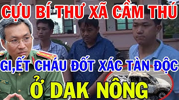 ÁN T.Ử CHO Cựu Bí Thư Xã 