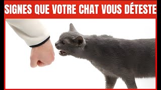 14 signes que votre Chat vous déteste | Incroyablement Top