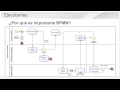 ¿Por qué es importante BPMN?