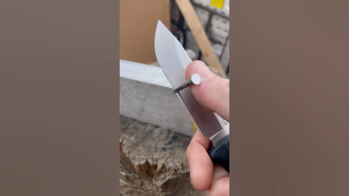 First and last S.O.G. you’ll see here. #shorts #knifestuffwedo #nailtest #knifetest #fixedblade