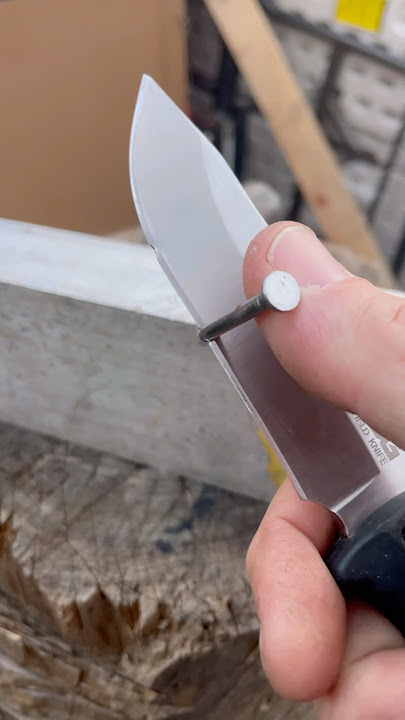 First and last S.O.G. you’ll see here. #shorts #knifestuffwedo #nailtest #knifetest #fixedblade