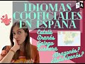 Lenguas cooficiales en espaa  aprende espaol