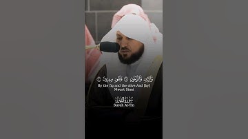 سورة التين الشيخ ماهر المعيقلي - Surah At-Tin Sheikh Maher Al-Muaiqly