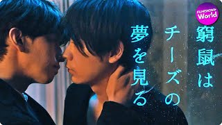 大倉忠義＆成田凌主演！映画『窮鼠はチーズの夢を見る』予告編