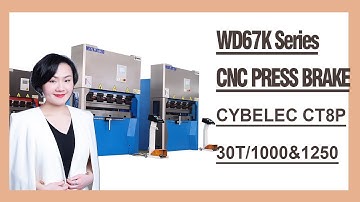 RONGWIN 6 set beautiful design save space 30T mini press brake are production completed