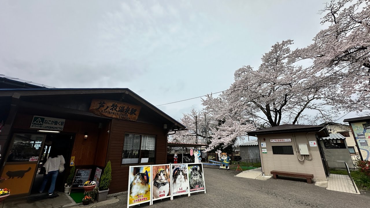 芦ノ牧温泉駅は花満開！ライブ配信中！