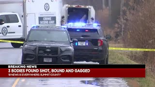 3 bodies found gagged, bound, shot in the head in Summit County