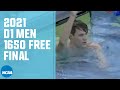 Men's 1650 Freestyle | 2021 NCAA Swimming Championship