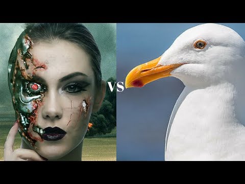 A remarkable top secret Chess Opening Discovery! Leela Chess 395 vs Gull 3 - Nimzo Indian
