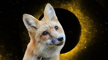 Premiere - Conf42 Rustlang 2022