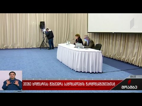 ელენე ხოშტარიას შეხვედრა საზოგადოების წარმომადგენლებთან