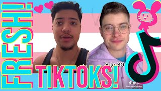 TikToks To Watch As The World Burns | #tiktokviral #FTM #transmasc #MTF #queer #lgbt TikTok Bunny 🐰