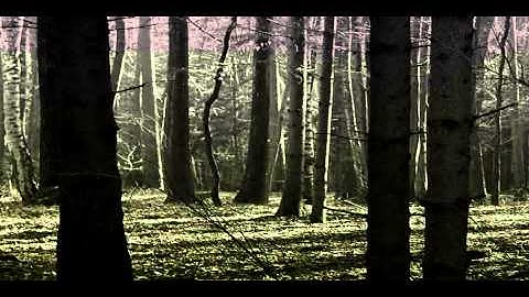 Probability of Detection