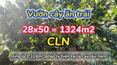 Vườn cây ăn trái 1324m2, Vàm Xáng, Phong Điền, Cần Thơ