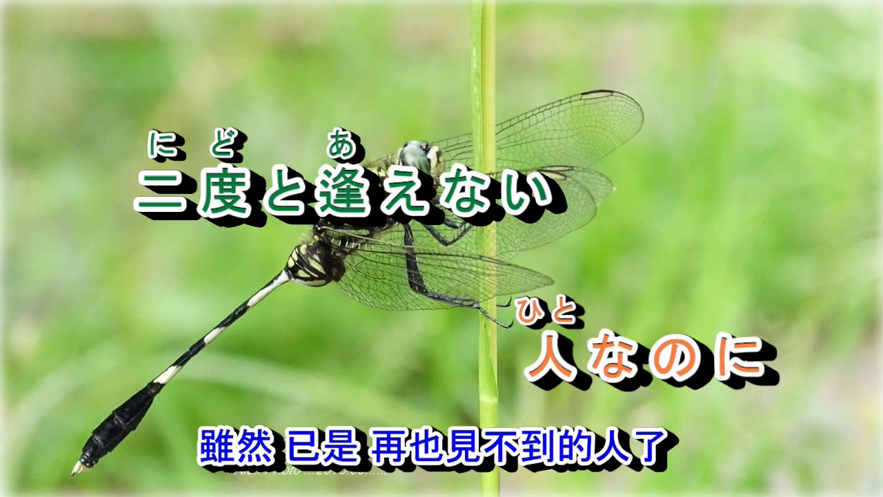 03-032   柳ヶ瀬ブルース *** 淡水河邊