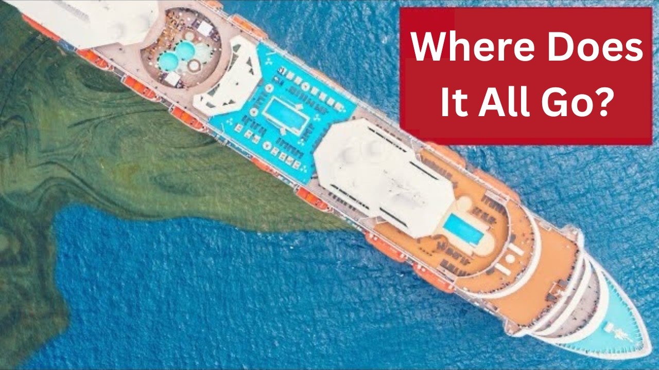 where does poop in cruise ship goes