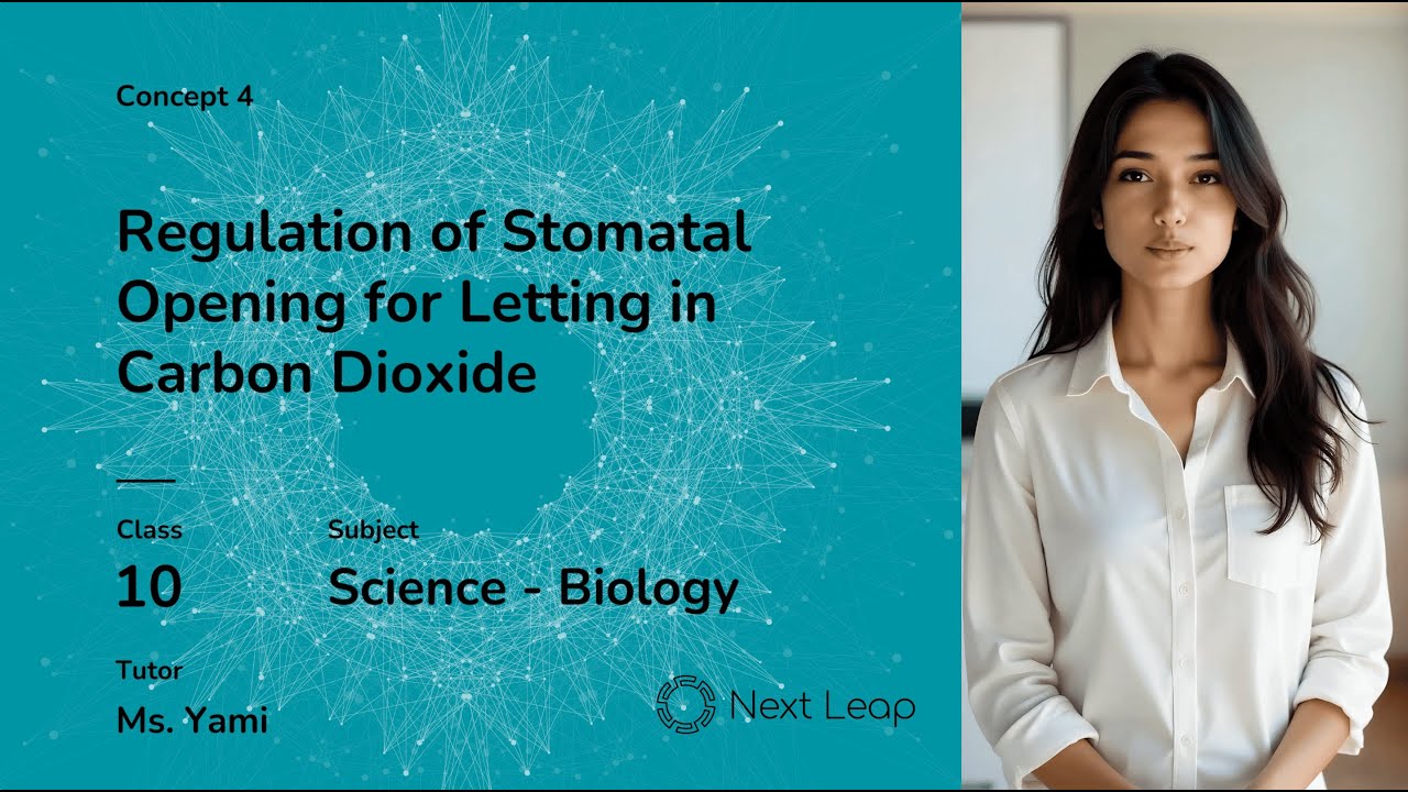 Regulation of Stomatal Opening for Letting in Carbon Dioxide | Biology | Class 10