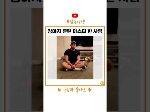강아지 훈련 마스터 한 사람 #shorts
