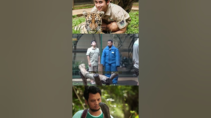 harimau alshad Ahmad teona takut sama panji petualang #shots #alshadahmad #panjipetualang