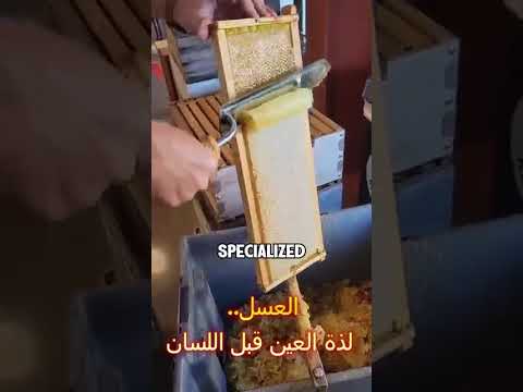 العسل لذة العين قبل اللسان 