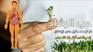 لن تجد فى الأعشاب افضل من حب الرشاد يحارب التهاب المفاصل وفقر الدم والذاكره وجهاز المناعه