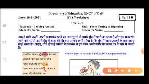 5th Class। Worksheet 13 B। 19/04/2021। EVS। Doe Worksheet no. 13 B। Ncertbooks। Class 5।