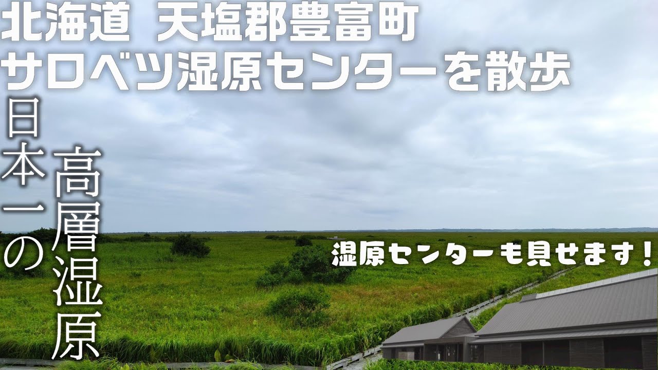 北海道 天塩郡 豊富町 日本の秘境100選の一つに数えられるサロベツ湿原センターを散策「日本一の高層湿原」 #北海道 #サロベツ湿原 #豊富町