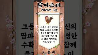 월간 닭띠 운세 2024년 6월 #닭띠 #오늘의운세 #내일의운세 #월간운세 #운세 #운세쇼츠